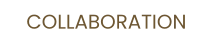 COLLABORATION